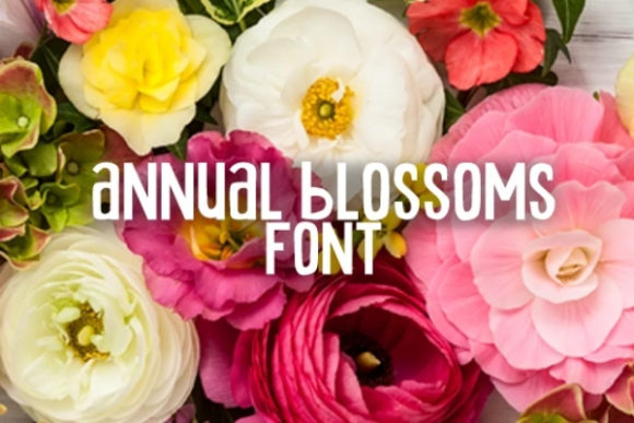 Annual Blossom: A Display Font That Elevates Campaign Visuals with Casual Charm
