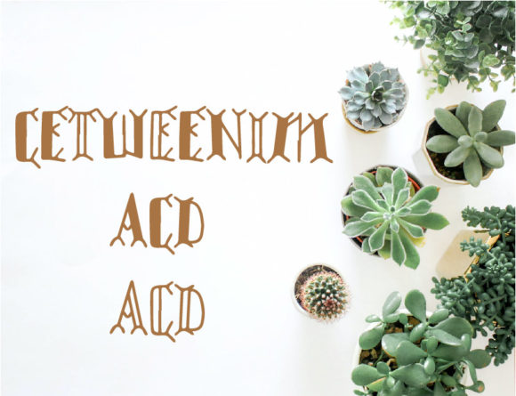 Cetweenim: A Playful Display Font That Brings Branding Projects to Life