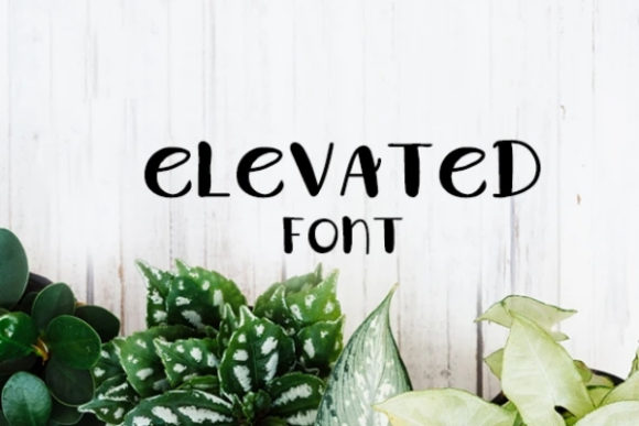 Elevated: A Playful Display Font That Adds Personality to Branding
