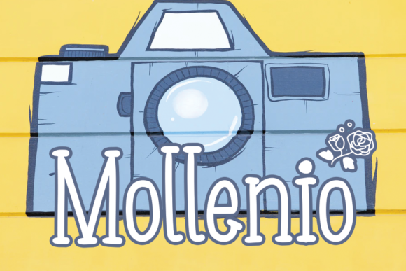 How Mollenio Became the Secret Weapon in Our Campaign’s Visual Strategy