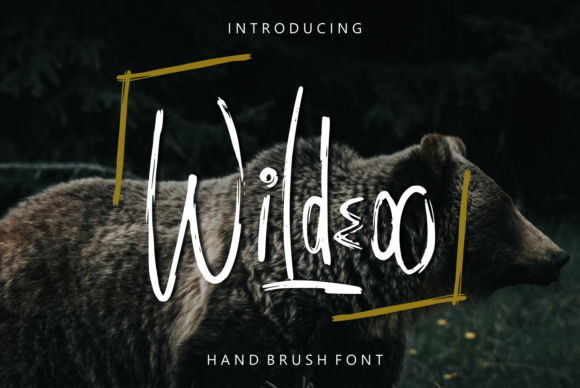 Wildeoo: A Display Font That Adds Personality to Campaign Visuals